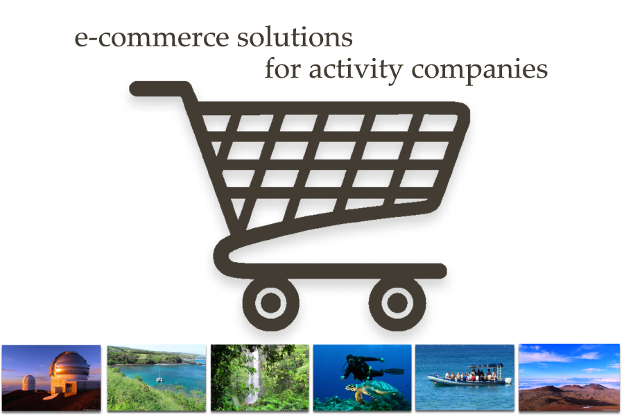 Activity Agent E-Commerce